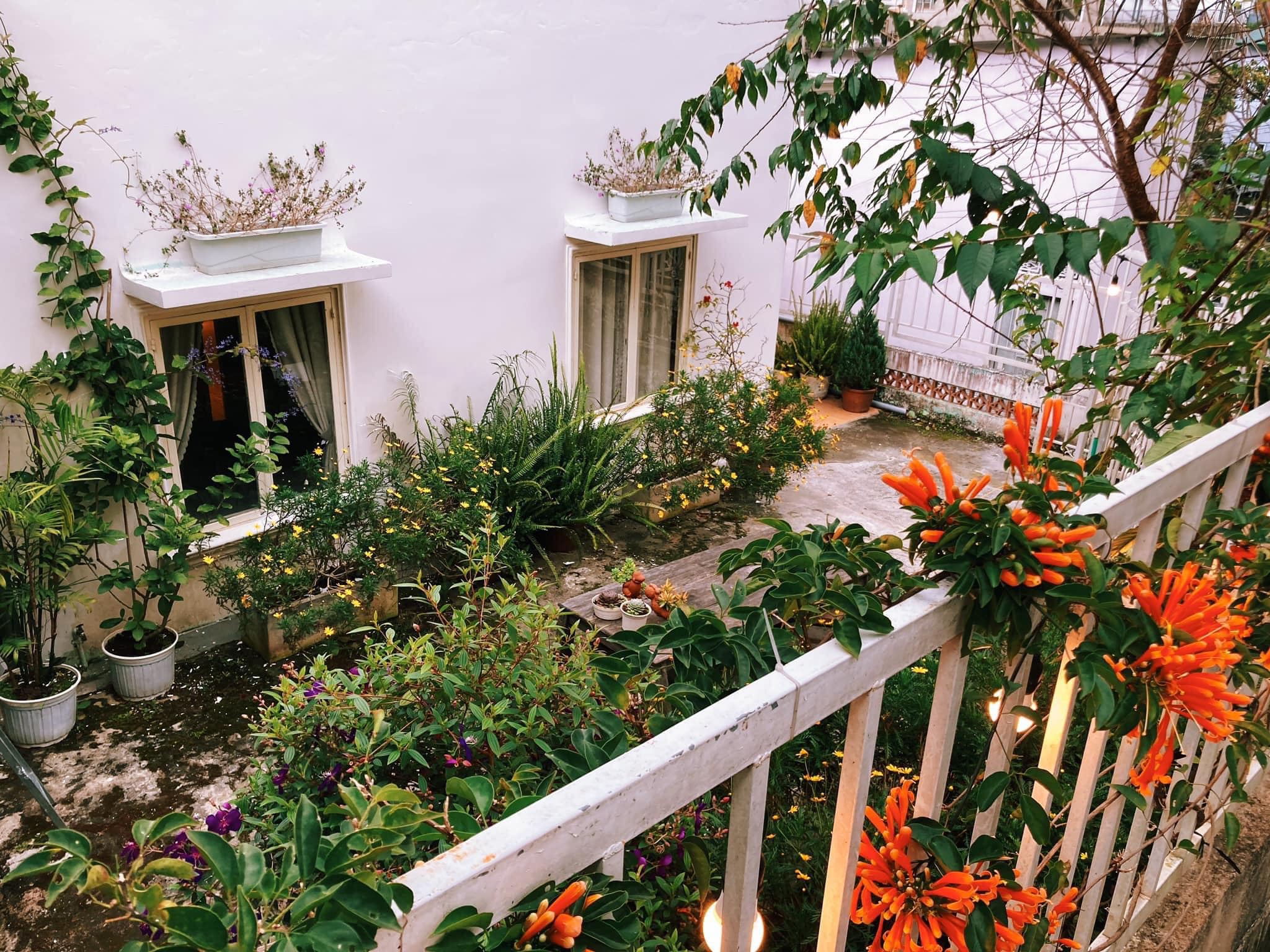 không gian homestay the notebook