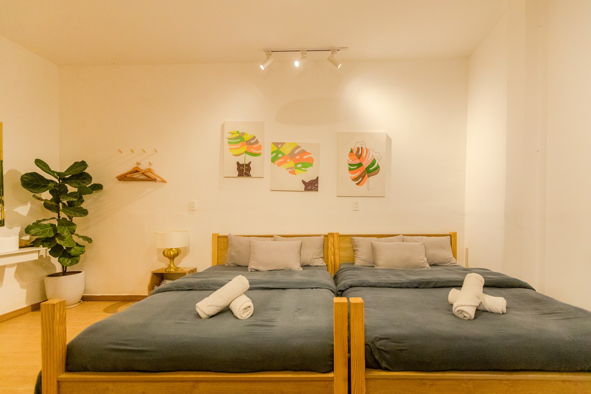 thiết kế phòng nghỉ tại amigo homestay