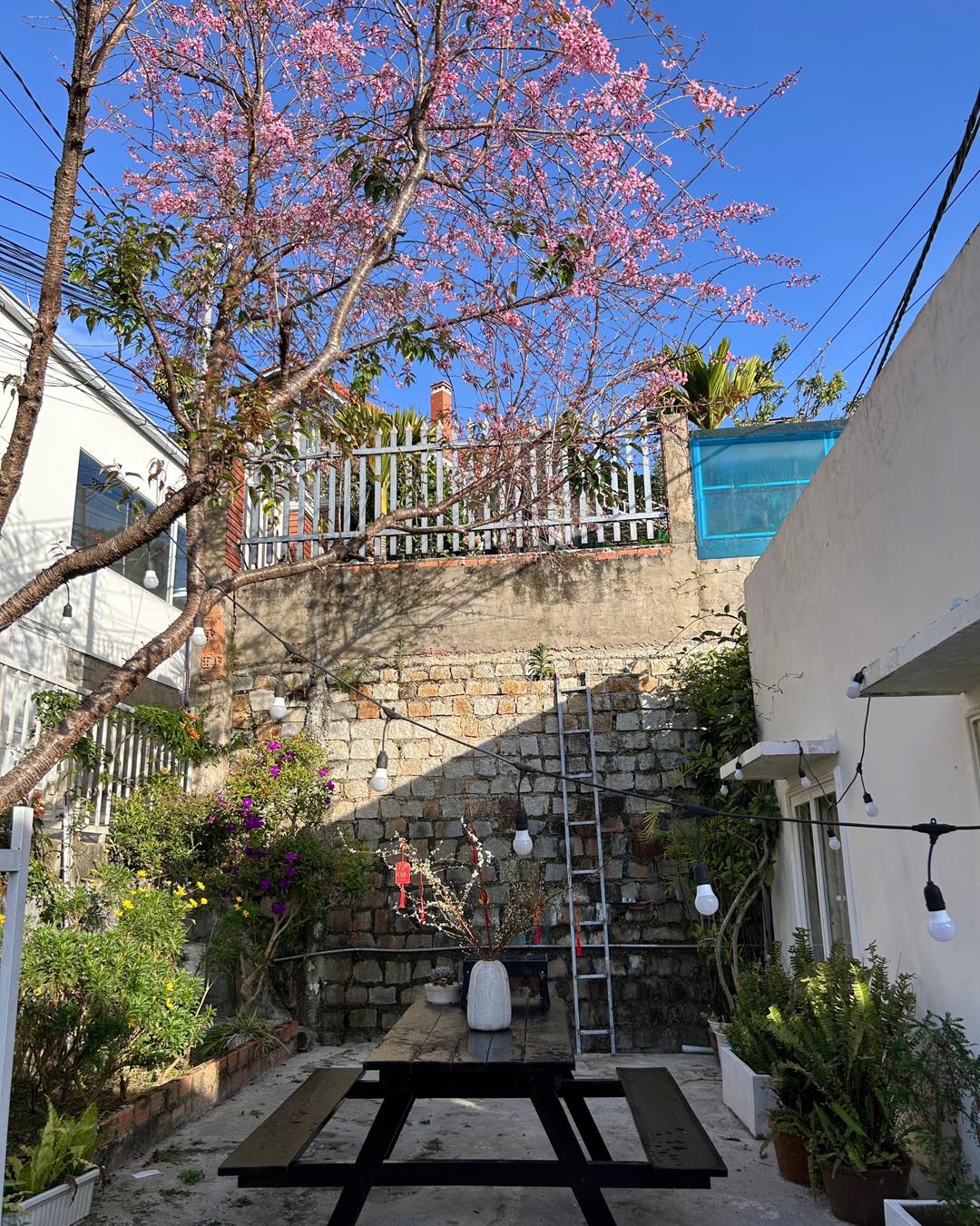 không gian homestay the notebook