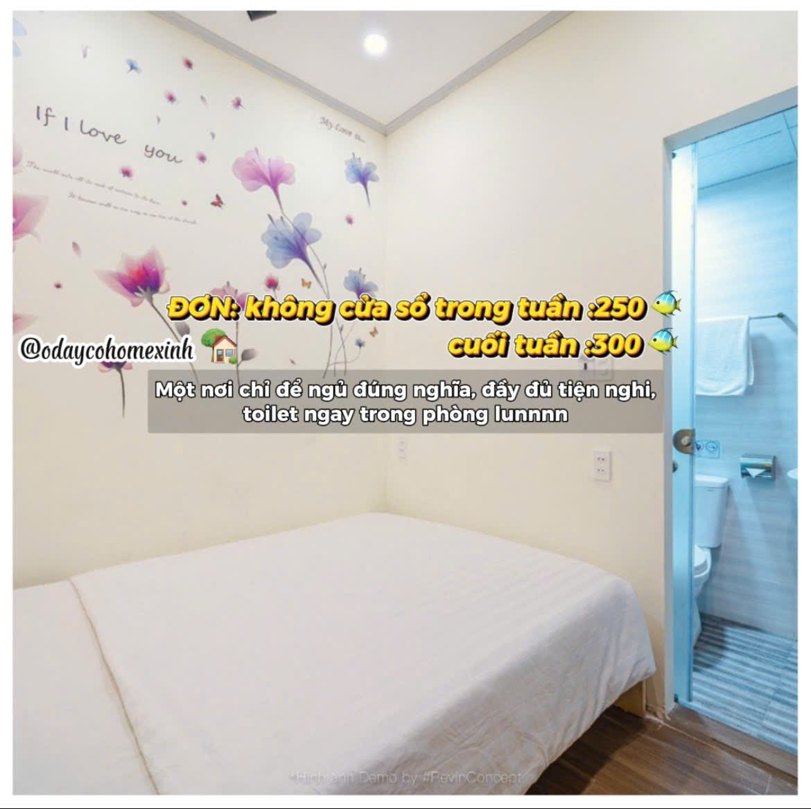Phòng đơn không cửa sổ