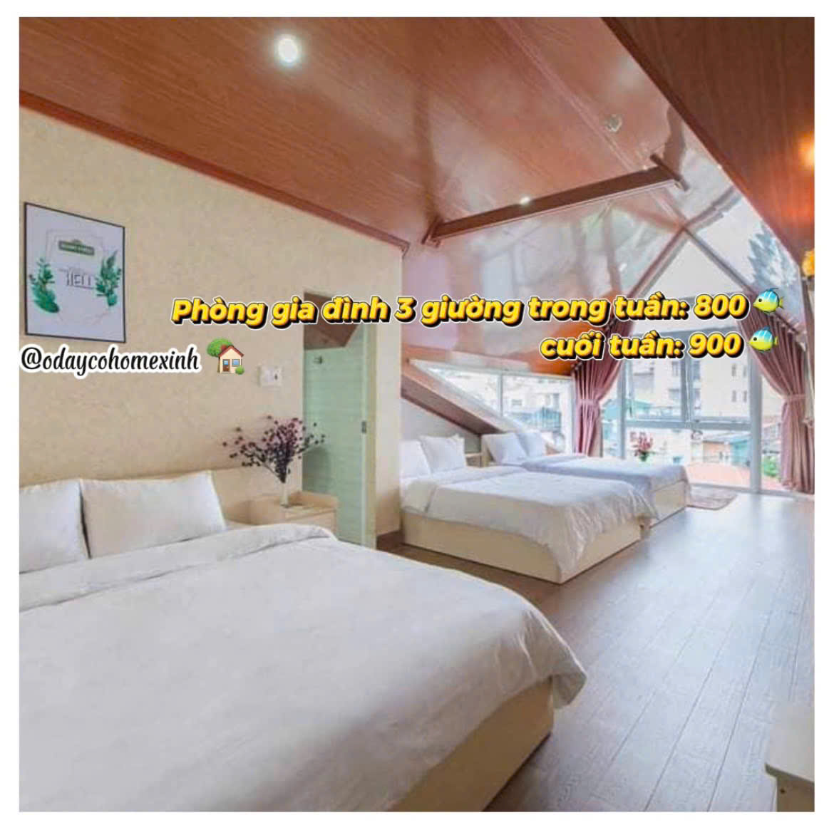 thiết kế Phòng gia đình 3 giường
