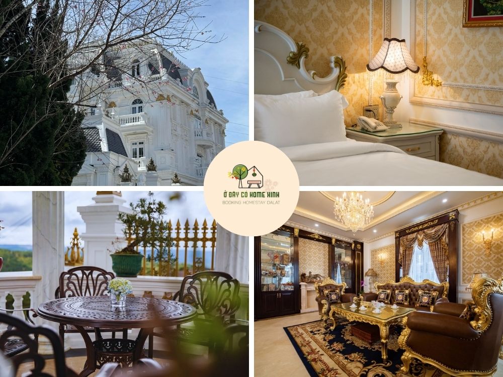 tổng quan thiết kế Dream Boutique Hotel