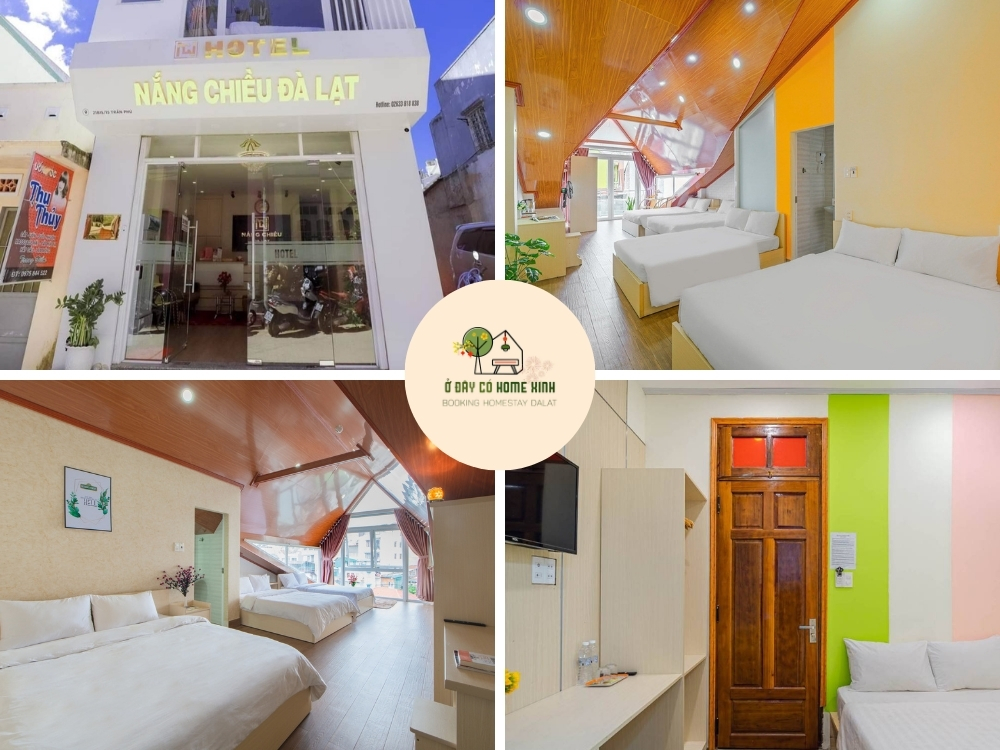tổng quan thiết kế Nắng Chiều Hotel