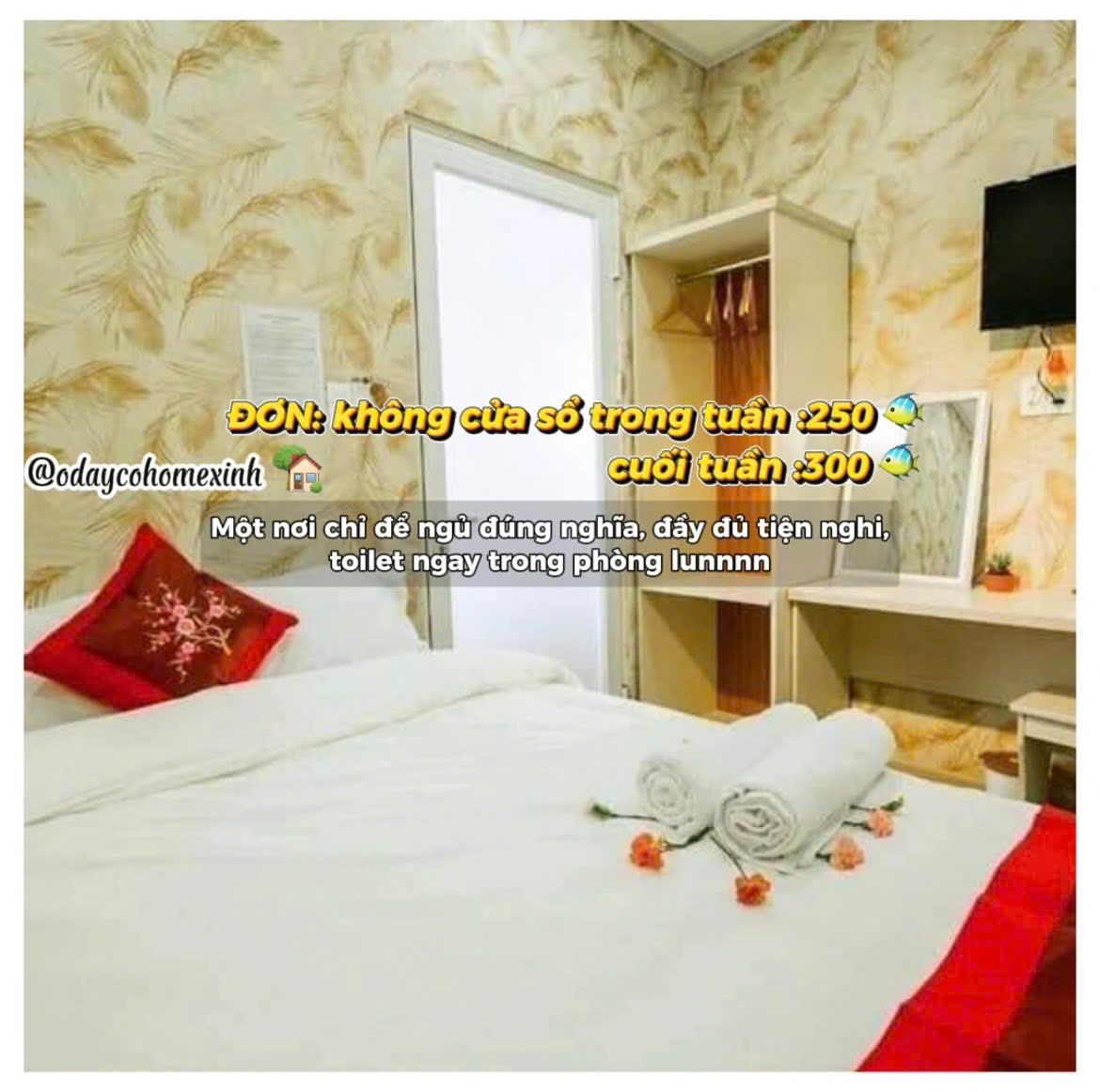 Phòng đơn không cửa sổ
