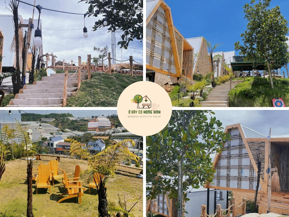 thiết kế phòng tại layla homestay