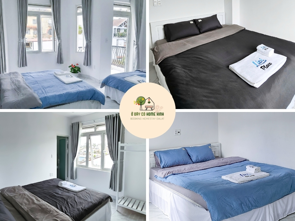 tổng quan homestay