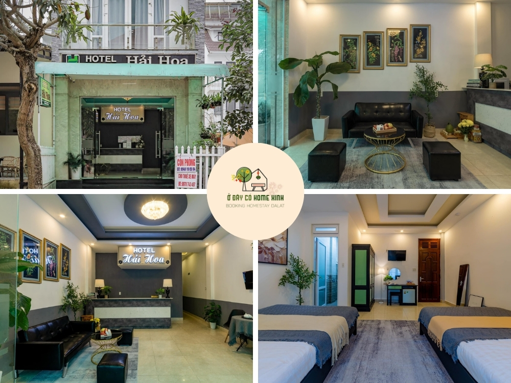 thiết kế phòng tại Hải Hoa Hotel