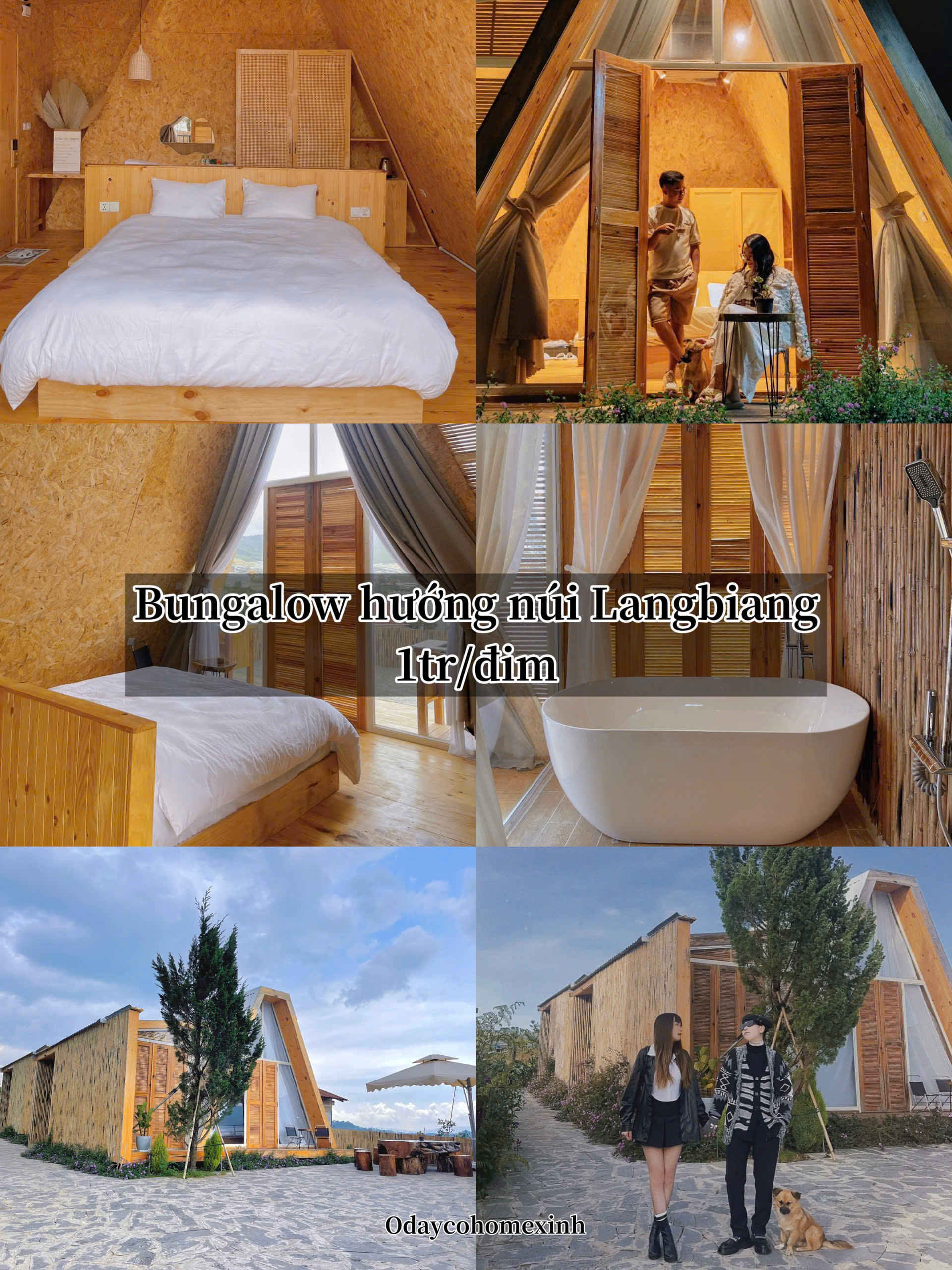 Bungalow hướng núi LangBiang