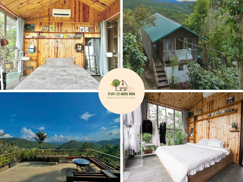 tổng quan homestay