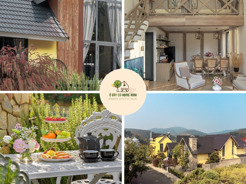 tổng quan De Pomme