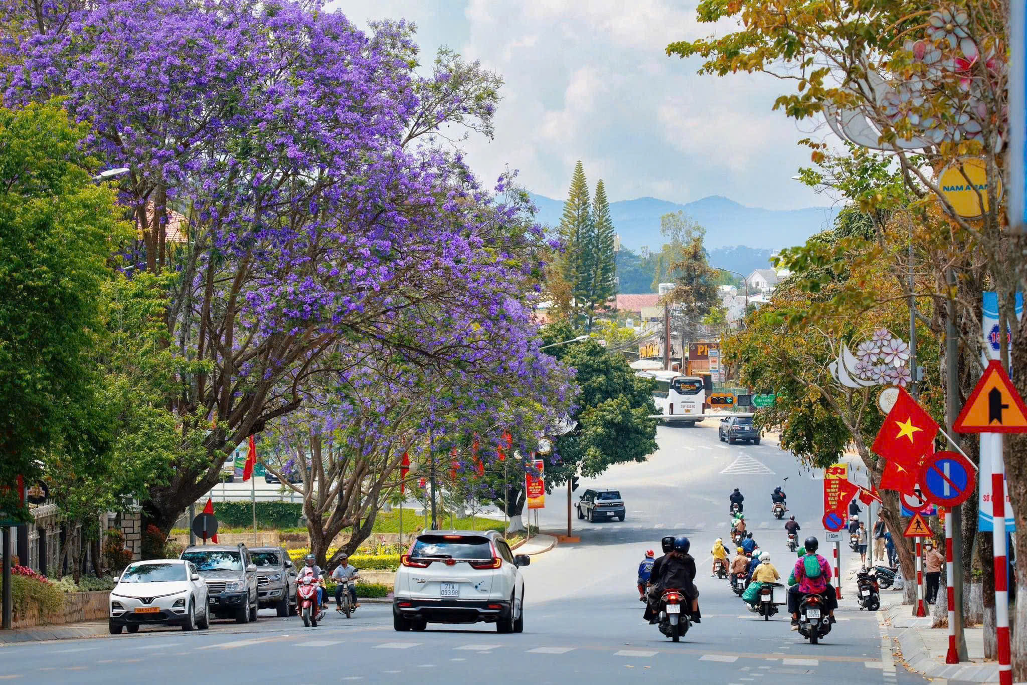 mùa hoa phương tím