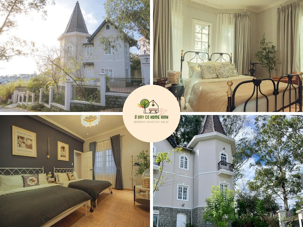 tổng quan Bạch Đàn Trắng