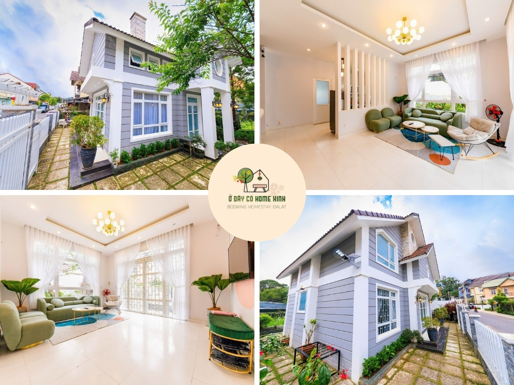 tổng quan BL79 Yersin