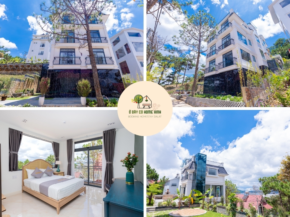 tổng quan The Palm Villa