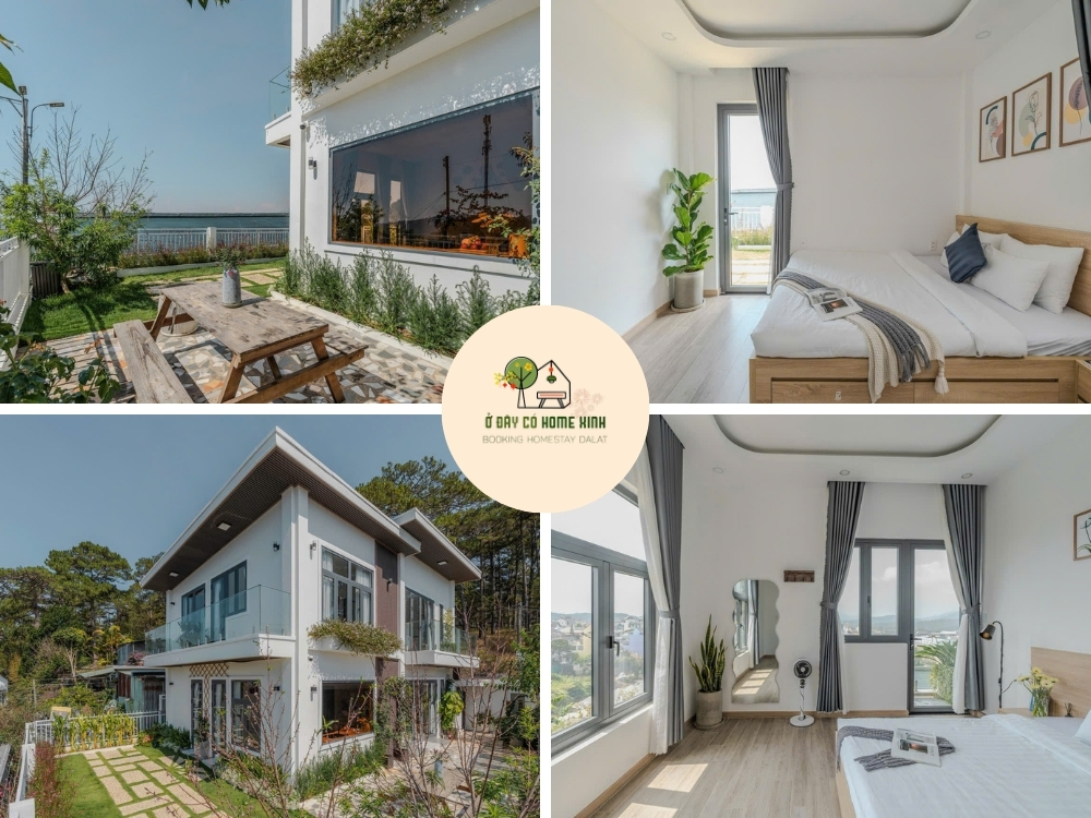 tổng quan Quả Thông Villa