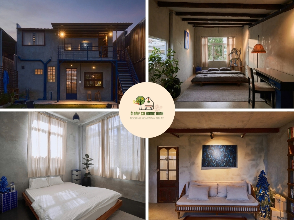 tổng quan Antiblue Đà Lạt