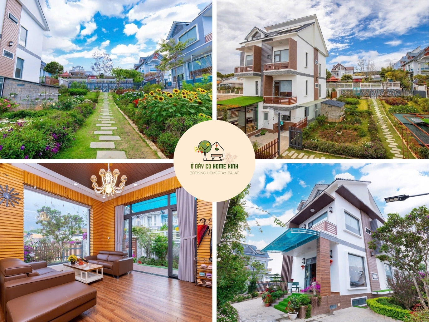 tổng quan Tutuxich 1