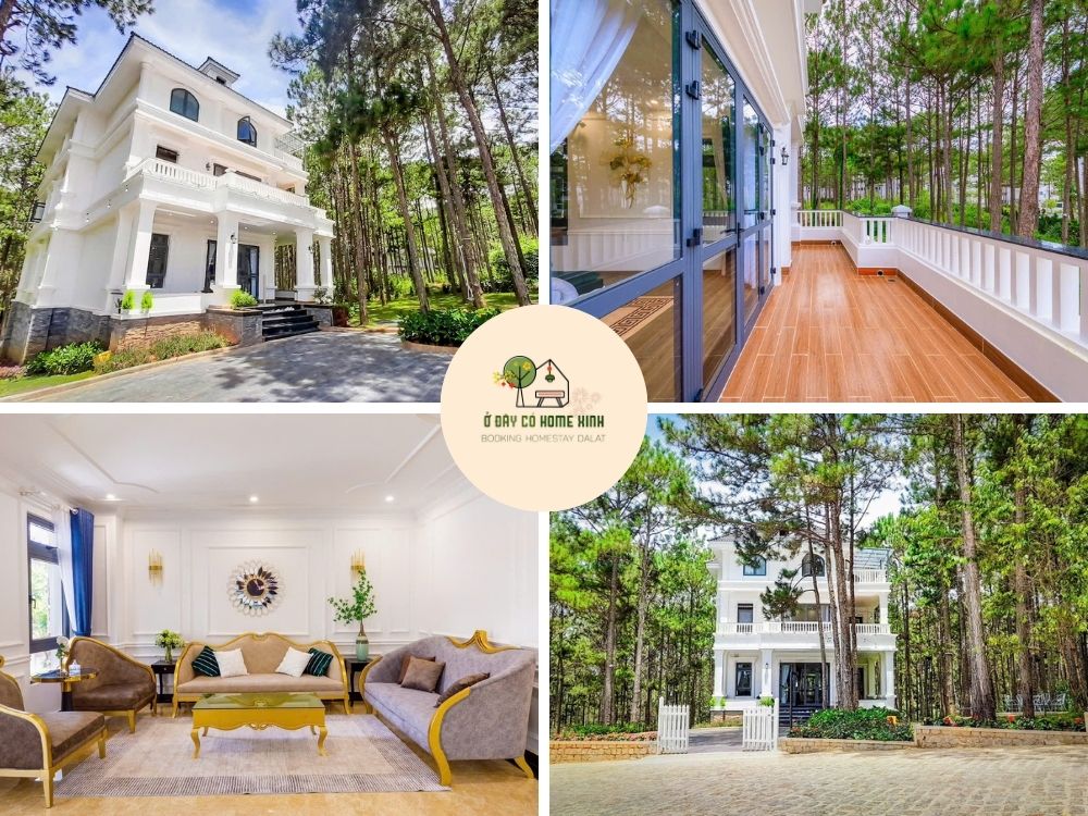 tổng quan L'amour villa 