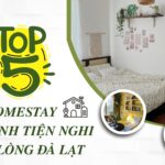 Bỏ Túi 5 Homestay Nhỏ Xinh Tiện Nghi Giữa Lòng Đà Lạt
