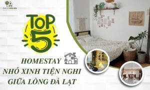 Bỏ Túi 5 Homestay Nhỏ Xinh Tiện Nghi Giữa Lòng Đà Lạt