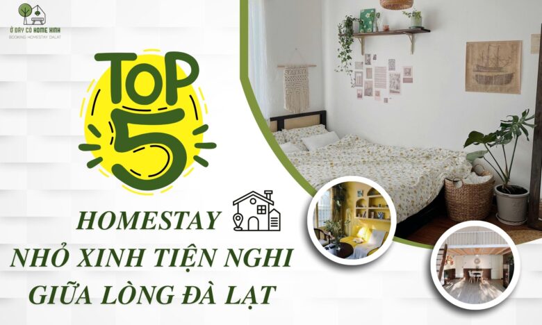 Bỏ Túi 5 Homestay Nhỏ Xinh Tiện Nghi Giữa Lòng Đà Lạt