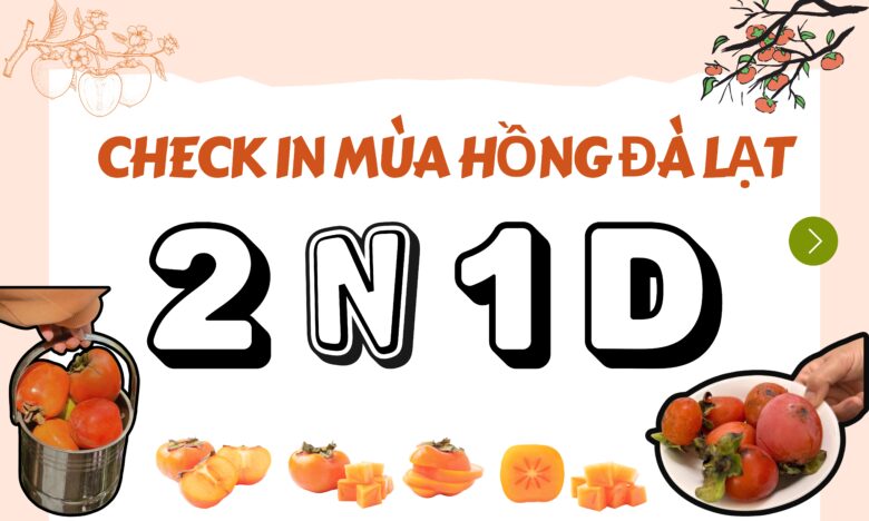 Check In Đà Lạt Mùa Hồng 2N1Đ