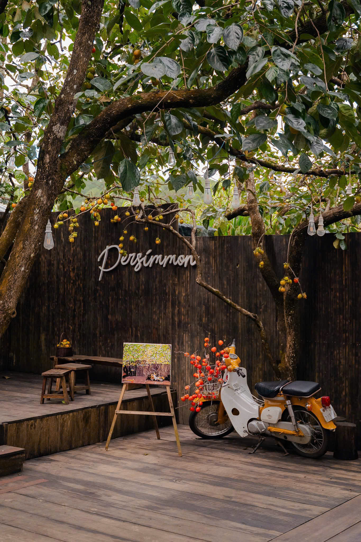 Persimmon cafe mùa hồng đà lạt