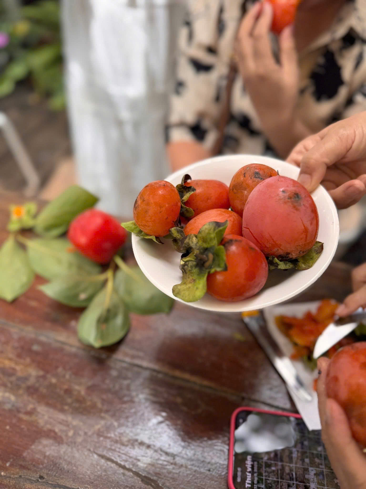 trải nghiệm thưởng thức quả hồng