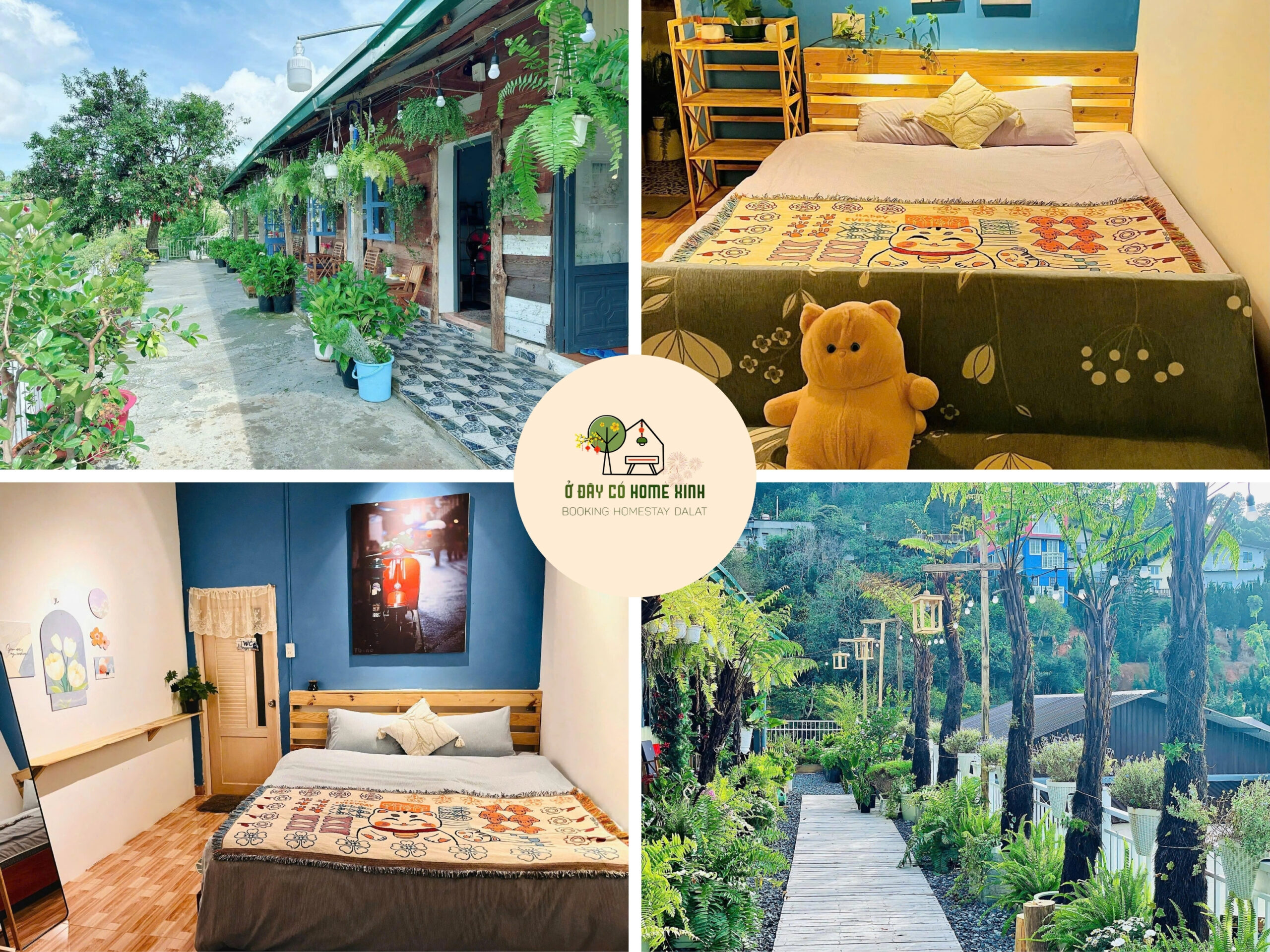 tổng quan Homestay Đống Đa