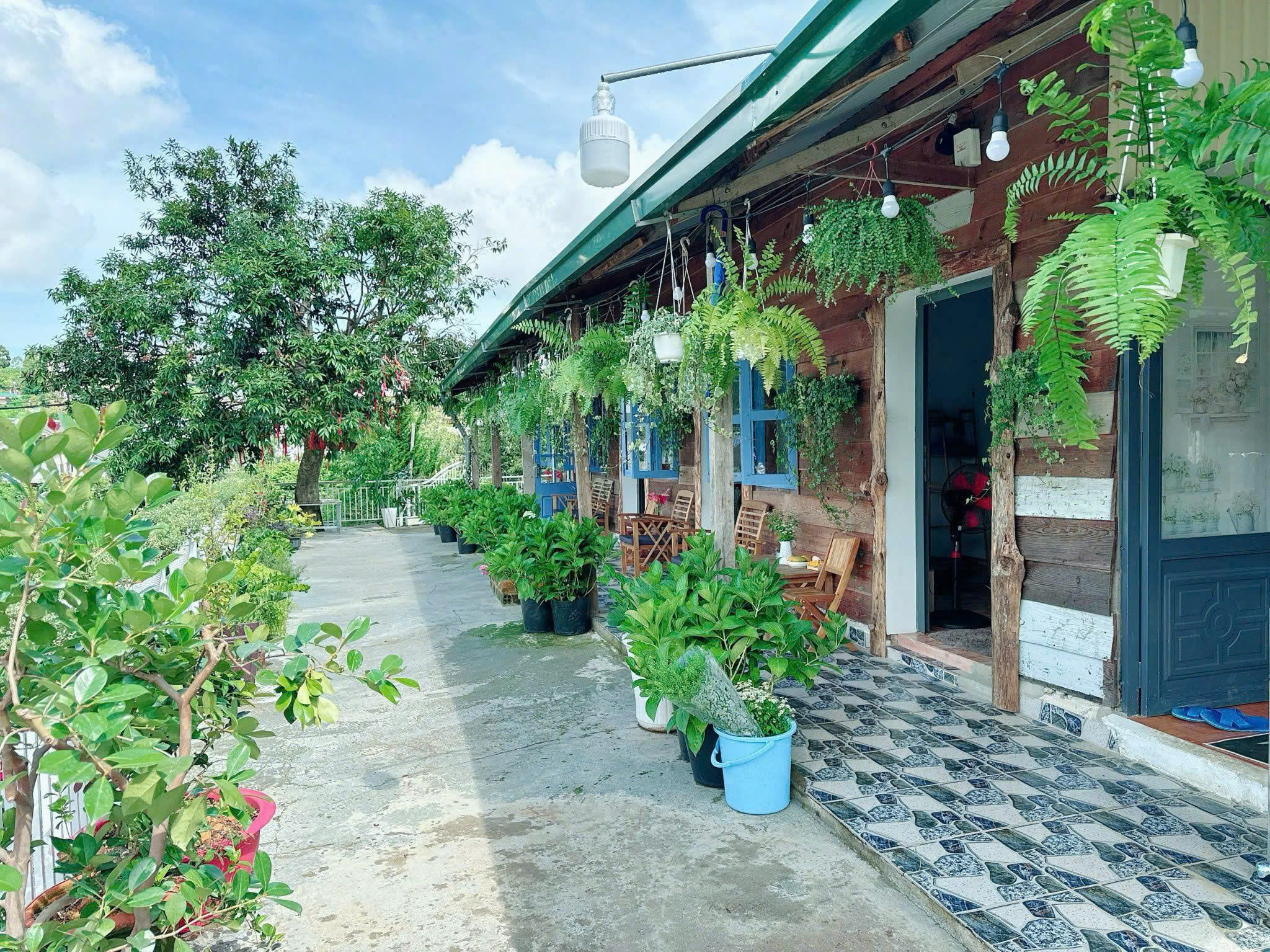 vị trí Homestay Đống Đa