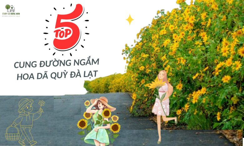 Top 5 cung đường ngắm hoa dã quỳ đà lạt