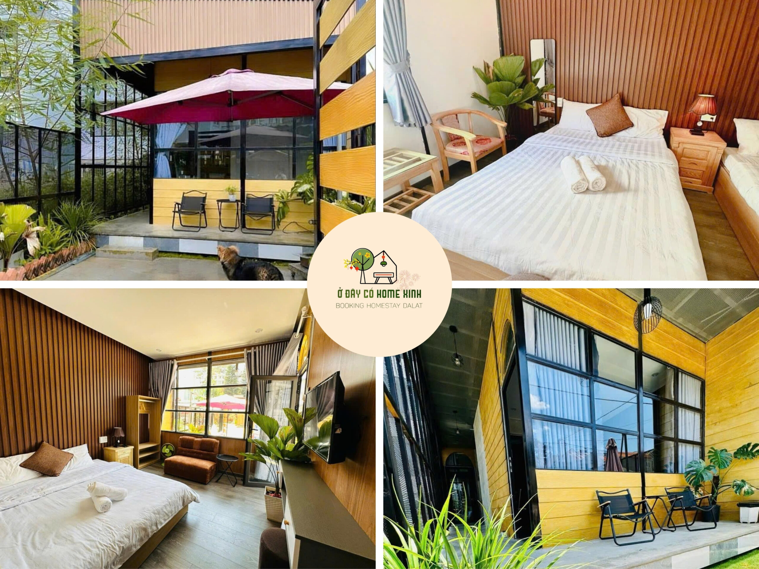 tổng quan Home Phạm Hồng Thái