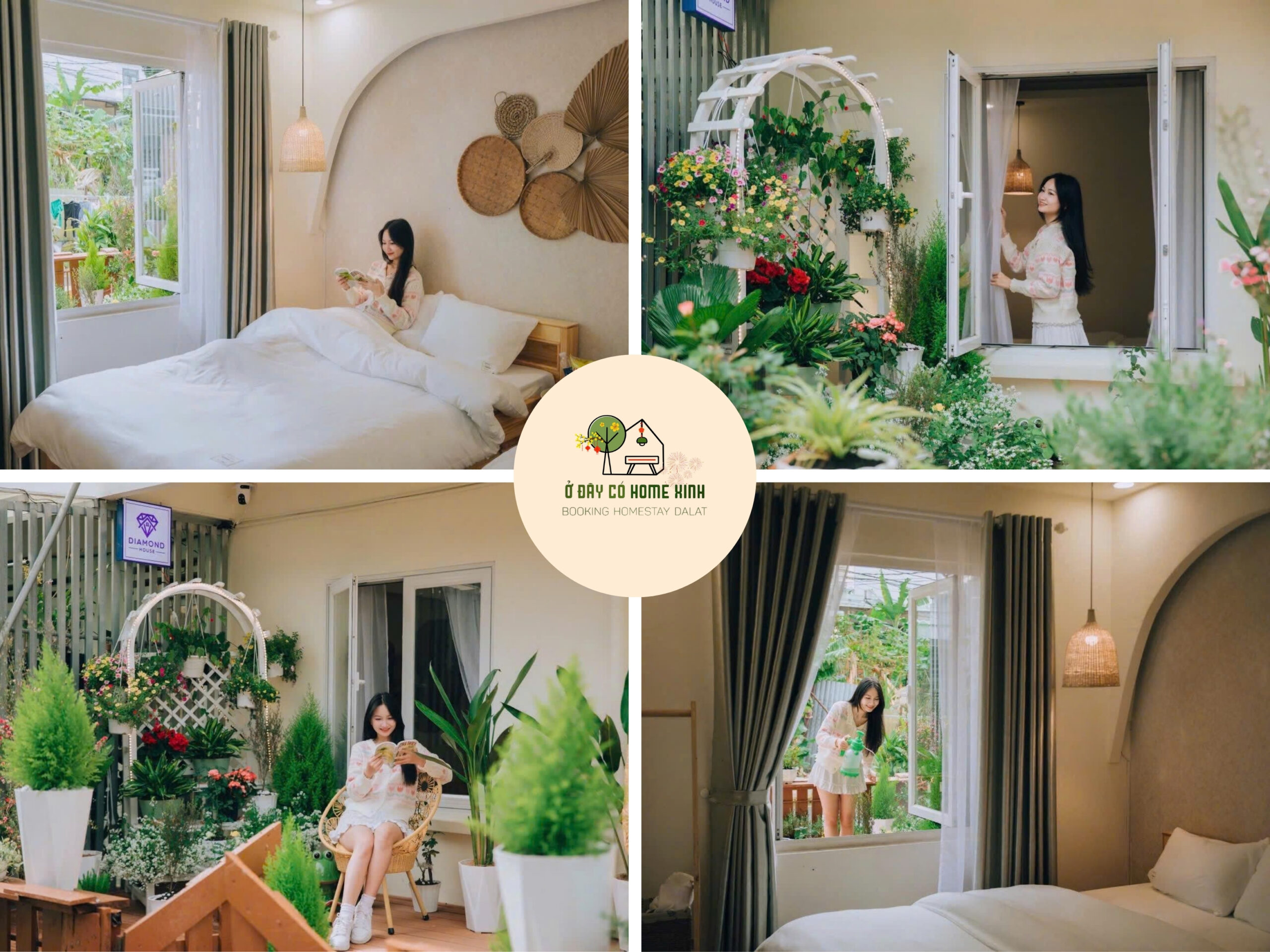 tổng quan Home C5