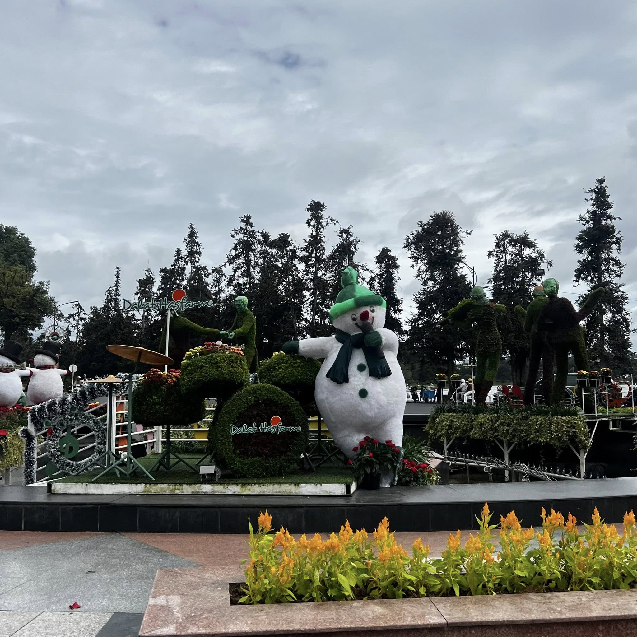 không khí giáng sinh đà lạt