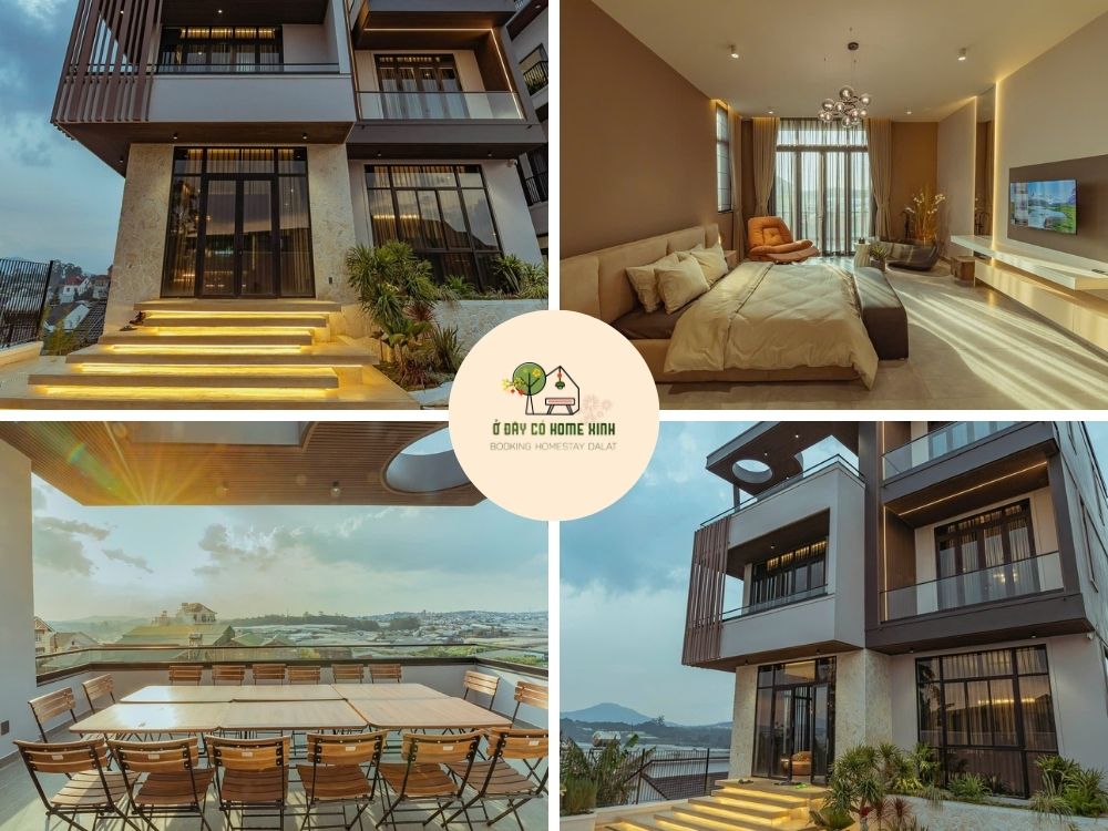 tổng quan andy's house