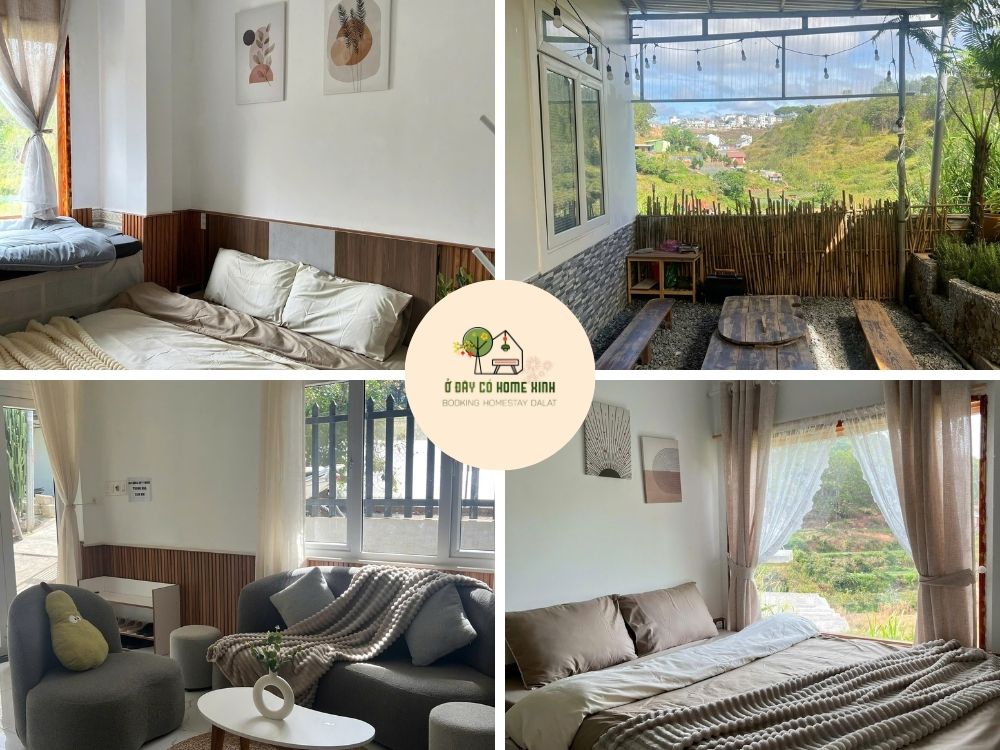 tổng quan Bơ Homestay