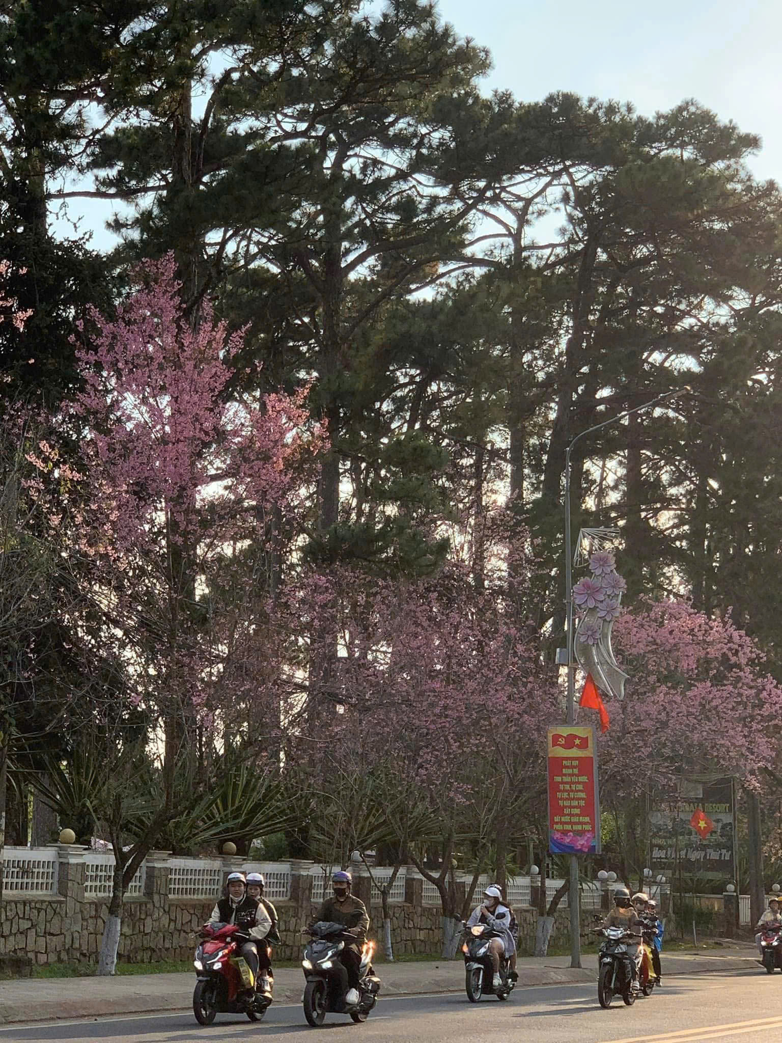 thời tiết đà lạt cuối năm