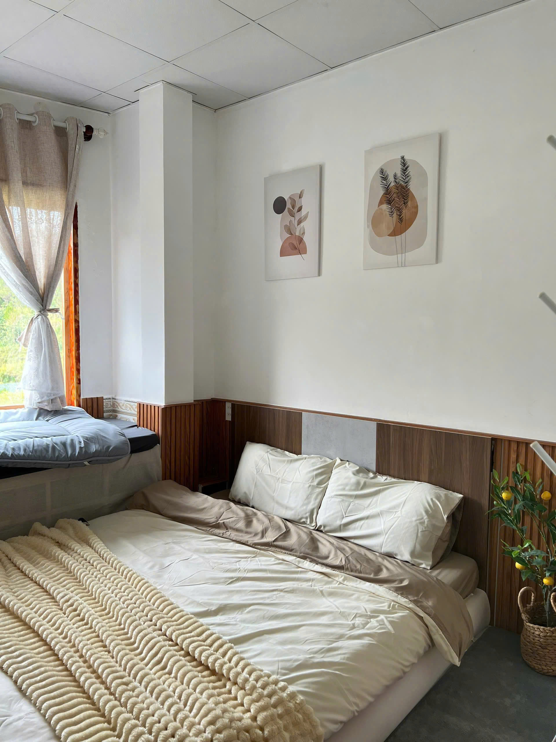 Bơ Homestay