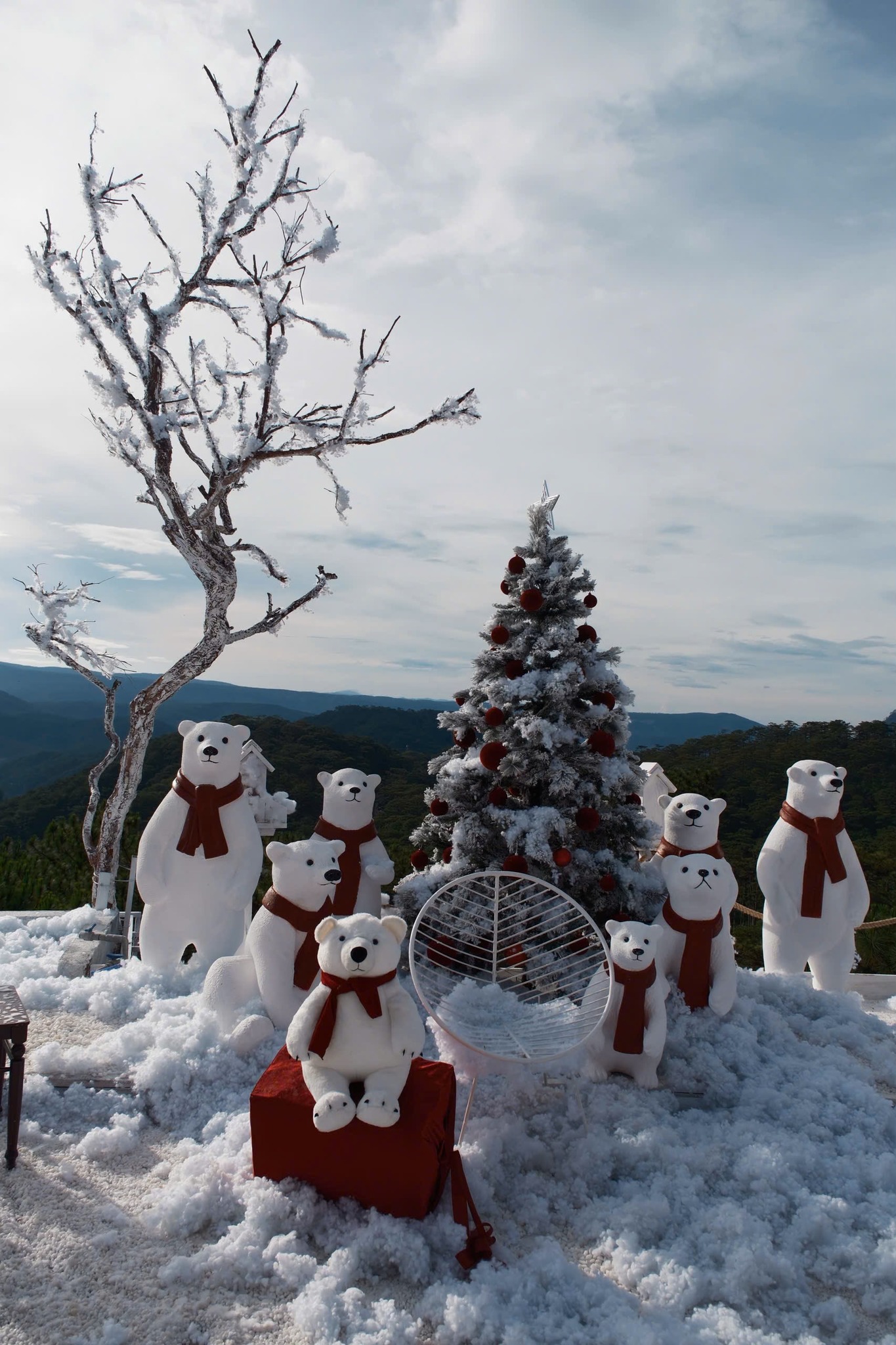 Thị Trấn Tuyết Đà Lạt