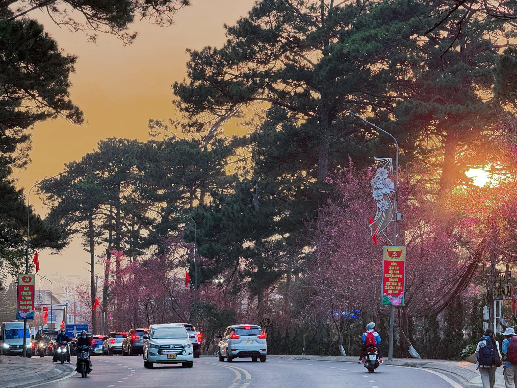 trải nghiệm du lịch đà lạt tháng 2