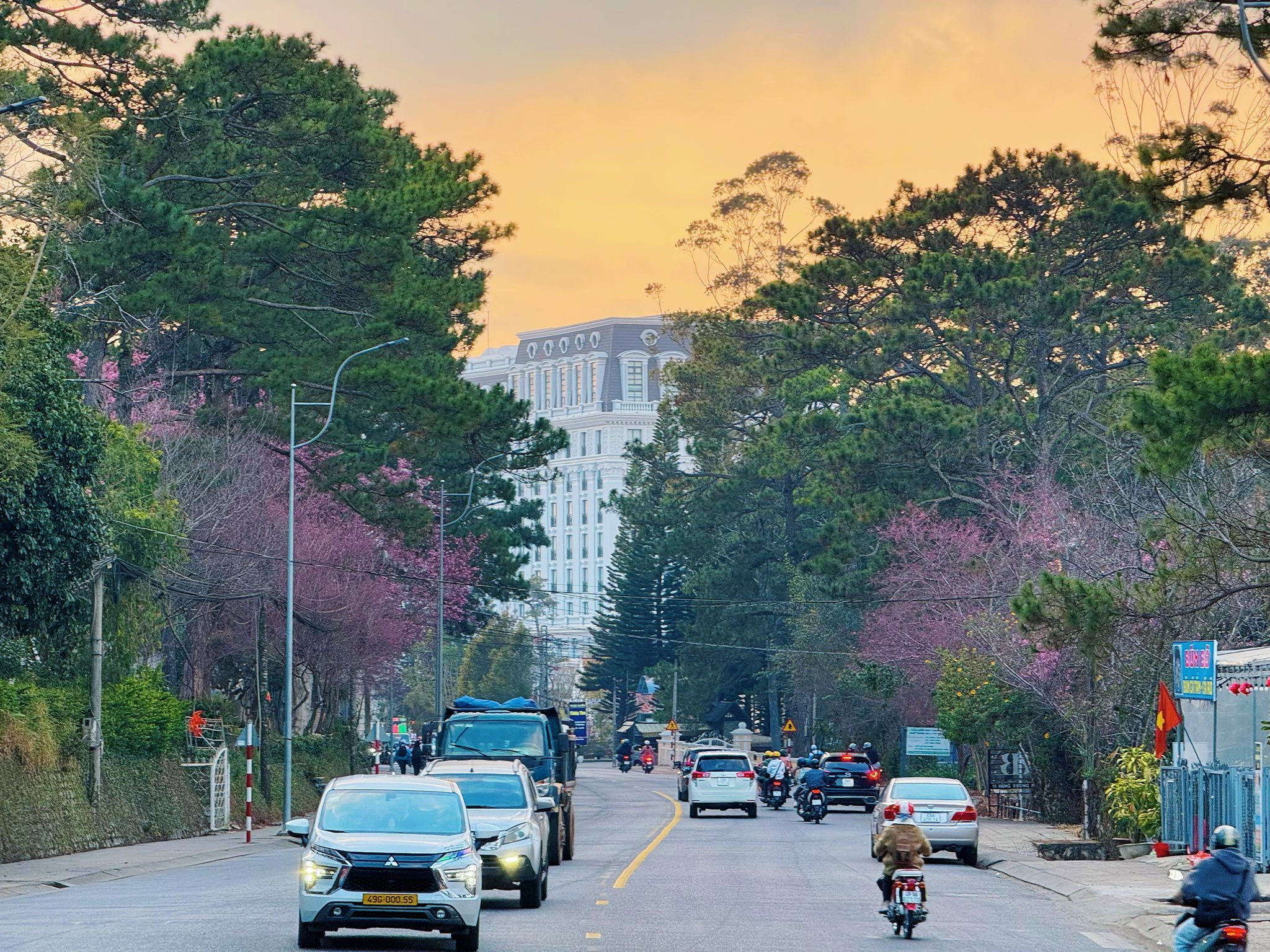kinh nghiệm du lịch đà lạt tháng 2