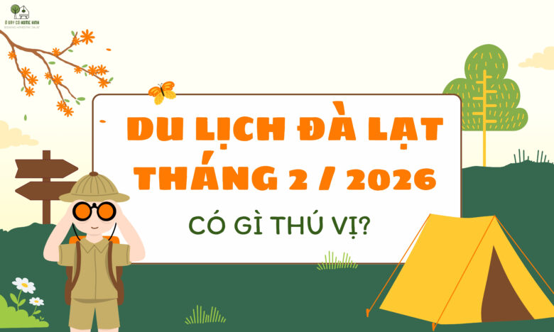 Du Lịch Đà Lạt Tháng 2/2026: Có Gì Thú Vị?