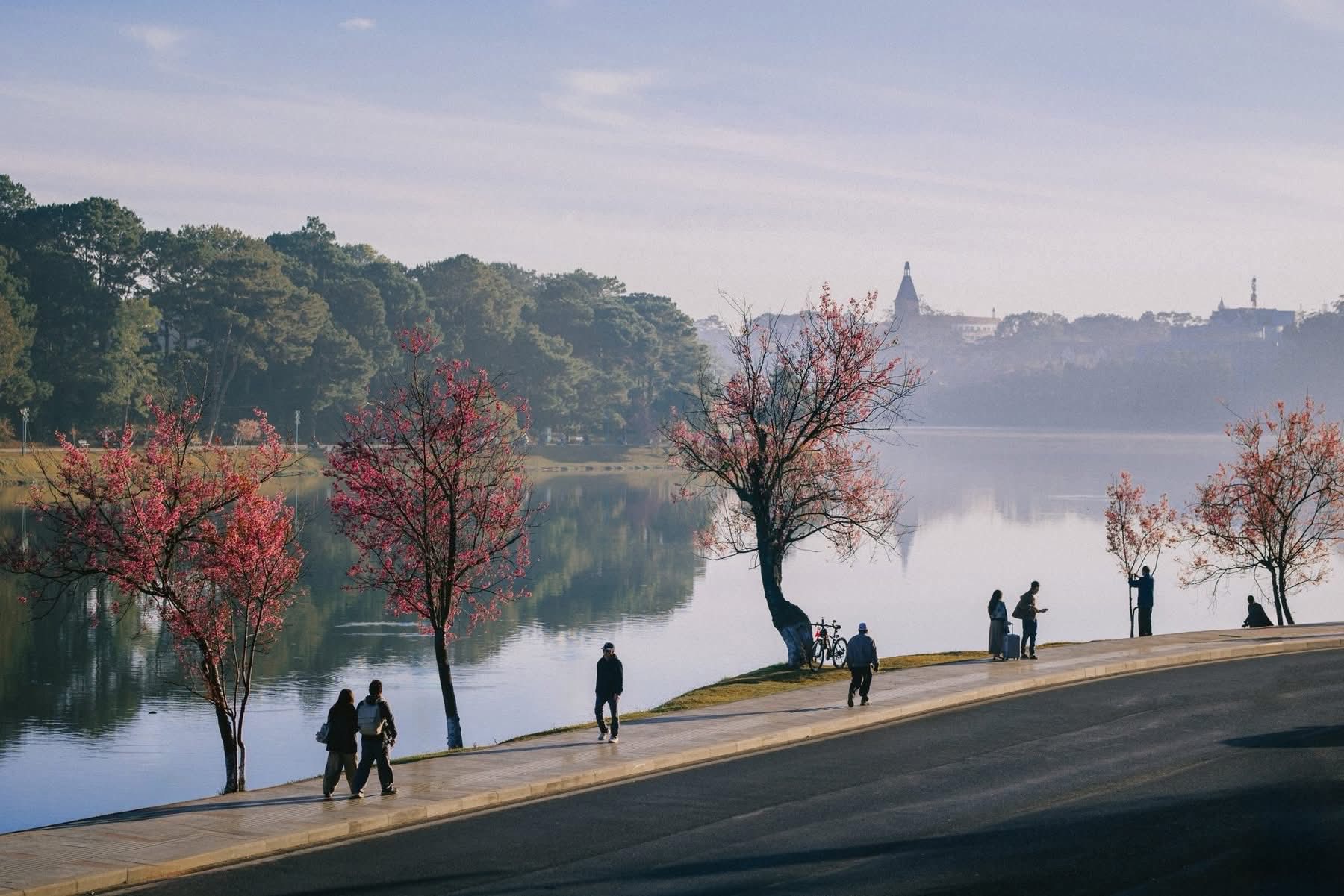 lịch trình du lịch đà lạt