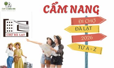 Cẩm Nang Đi Chợ Đà Lạt 2026 Từ A - Z