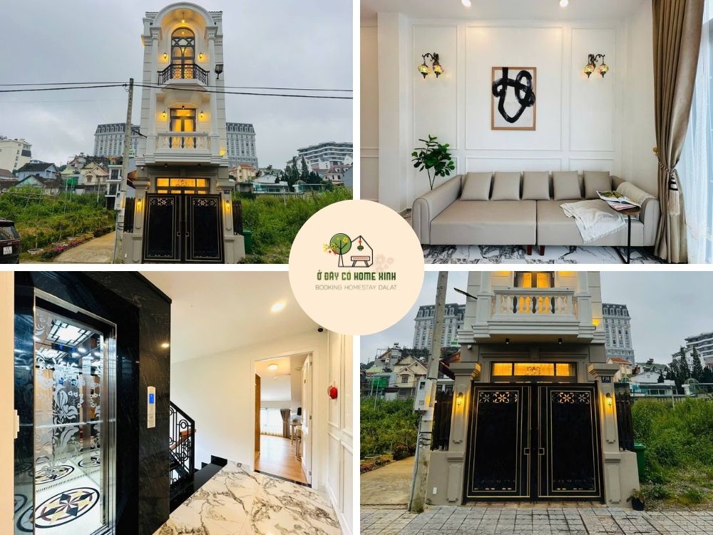 tổng quan Lavie Home