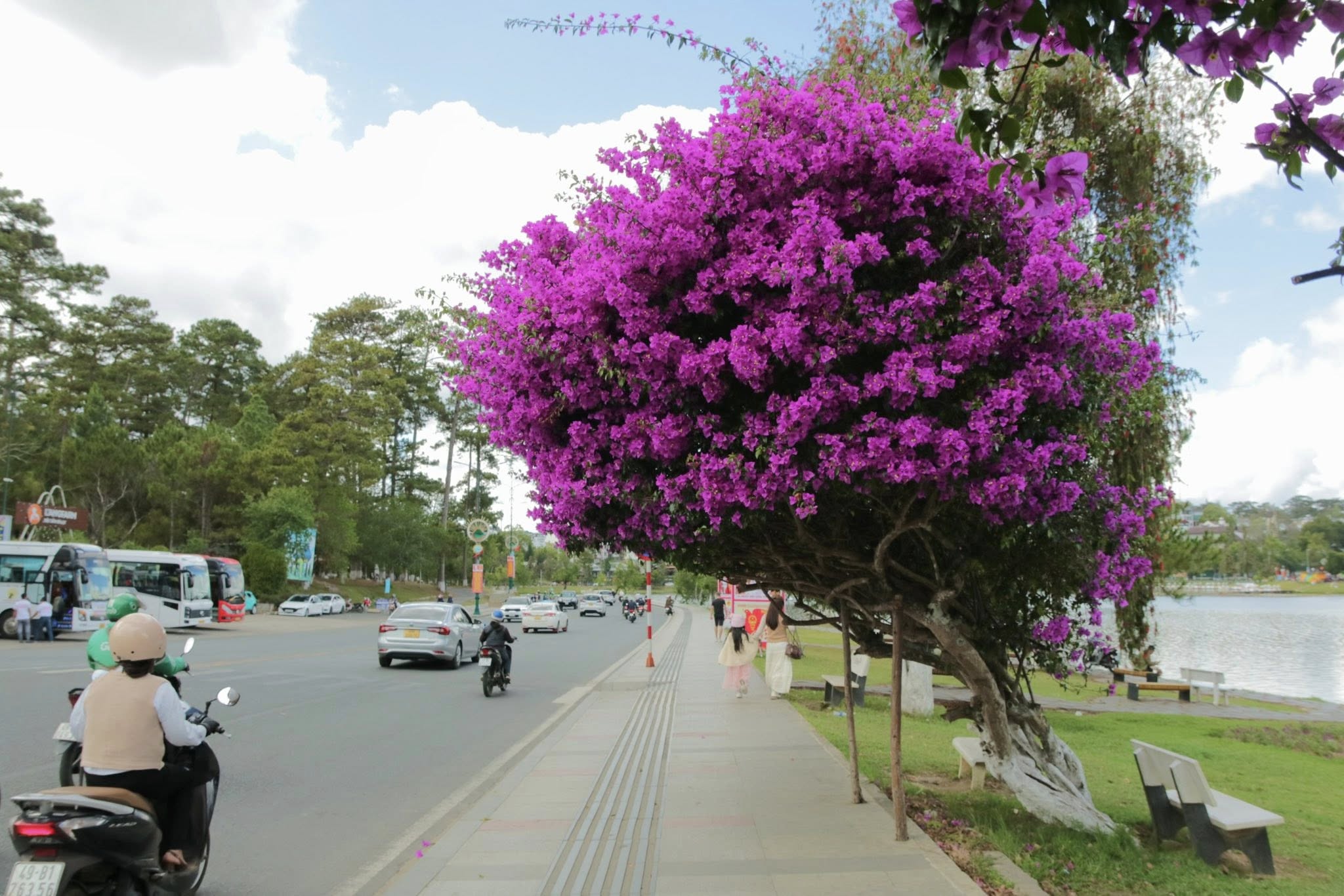 hồ xuân hương đà lạt tháng 4
