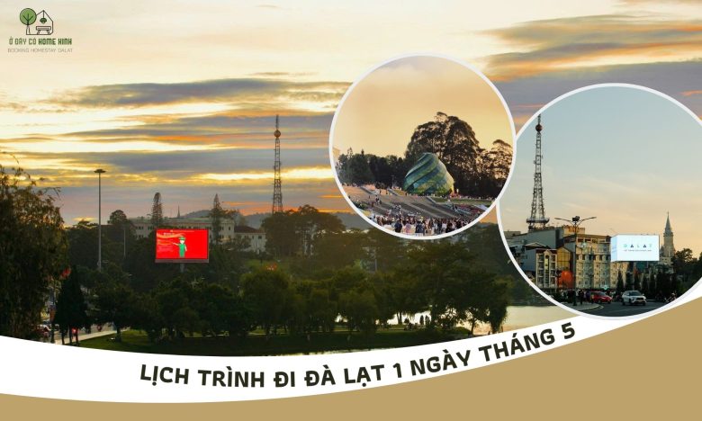lịch trình đi đà lạt 1 ngày tháng 5