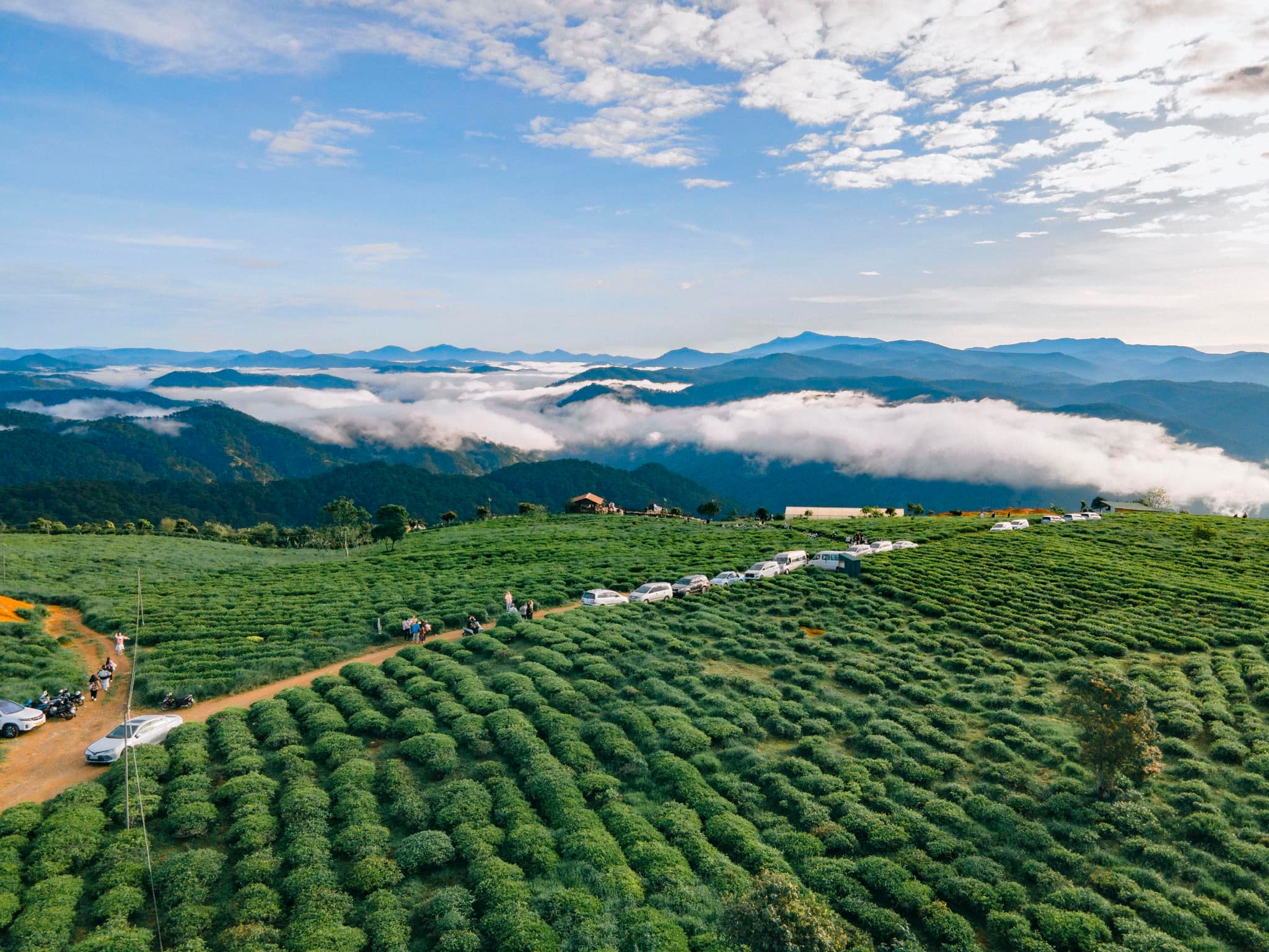thời điểm lý tưởng đến đồi chè cầu đất