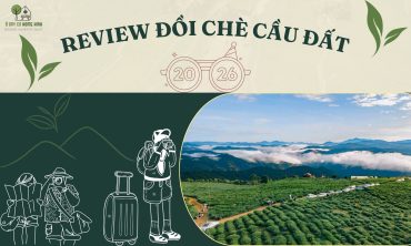 Review Đồi Chè Cầu Đất 2026