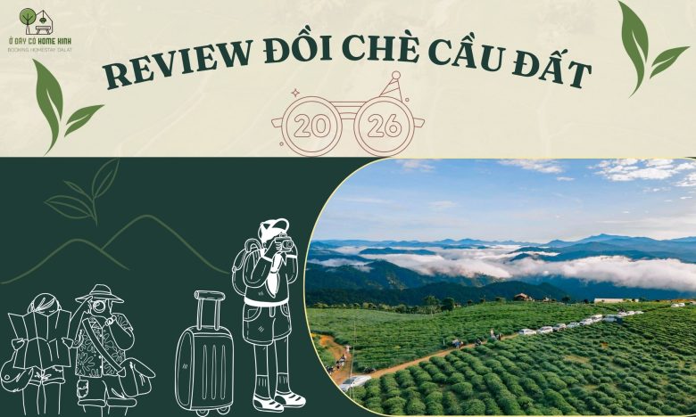 Review Đồi Chè Cầu Đất 2026